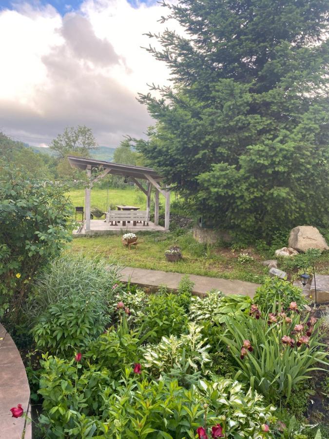 Holiday Home Usadba Novoselitsa Novoselitsa  ภายนอก รูปภาพ