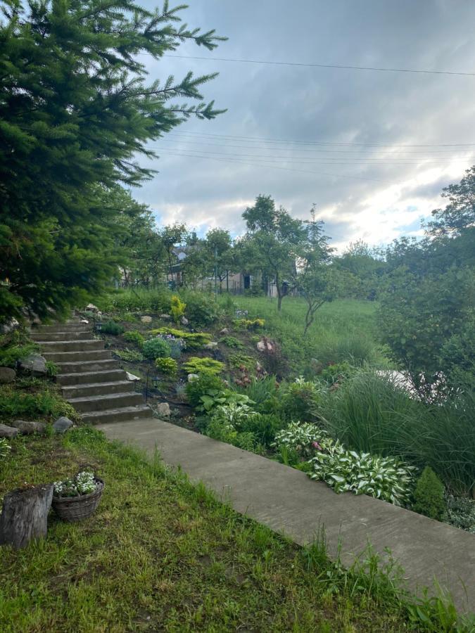Holiday Home Usadba Novoselitsa Novoselitsa  ภายนอก รูปภาพ
