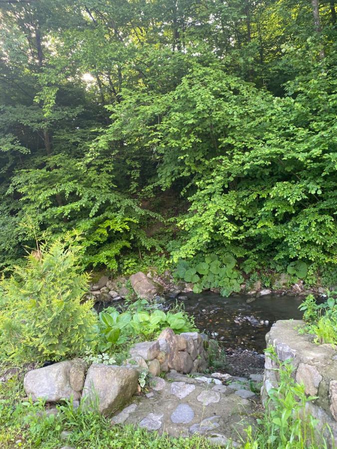 Holiday Home Usadba Novoselitsa Novoselitsa  ภายนอก รูปภาพ