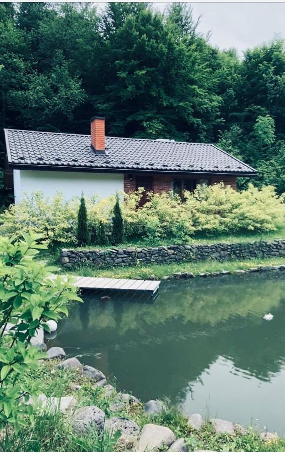 Holiday Home Usadba Novoselitsa Novoselitsa  ภายนอก รูปภาพ