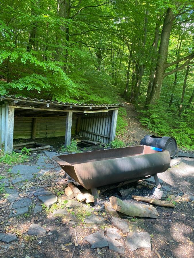 Holiday Home Usadba Novoselitsa Novoselitsa  ภายนอก รูปภาพ