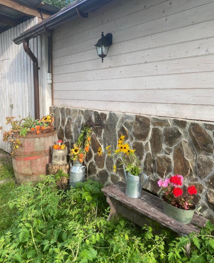 Holiday Home Usadba Novoselitsa Novoselitsa  ภายนอก รูปภาพ