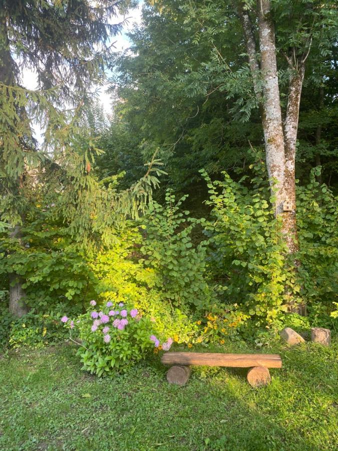 Holiday Home Usadba Novoselitsa Novoselitsa  ภายนอก รูปภาพ