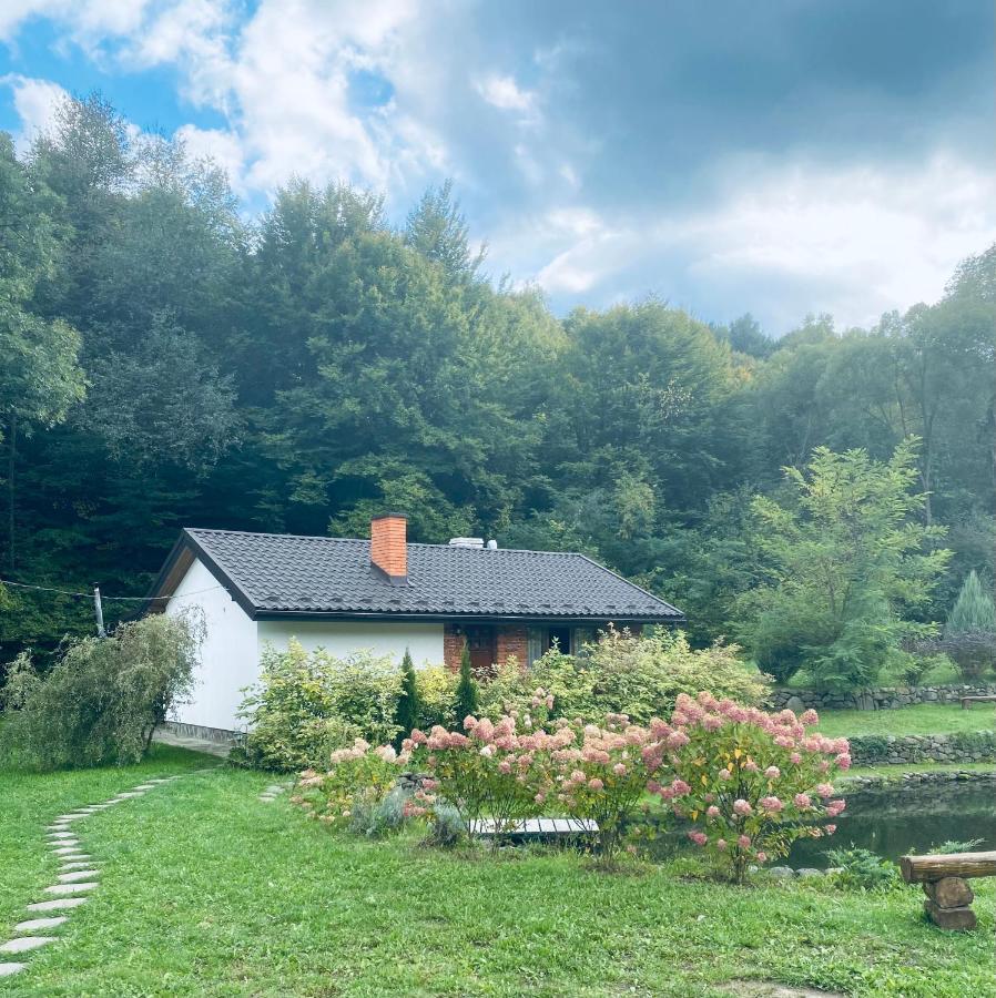 Holiday Home Usadba Novoselitsa Novoselitsa  ภายนอก รูปภาพ