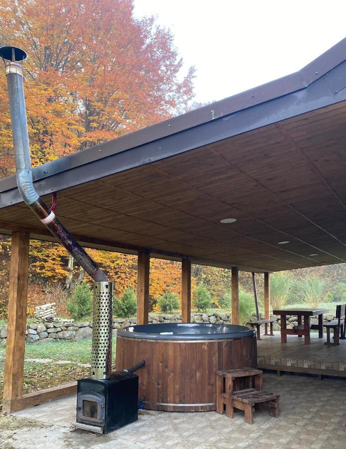 Holiday Home Usadba Novoselitsa Novoselitsa  ภายนอก รูปภาพ