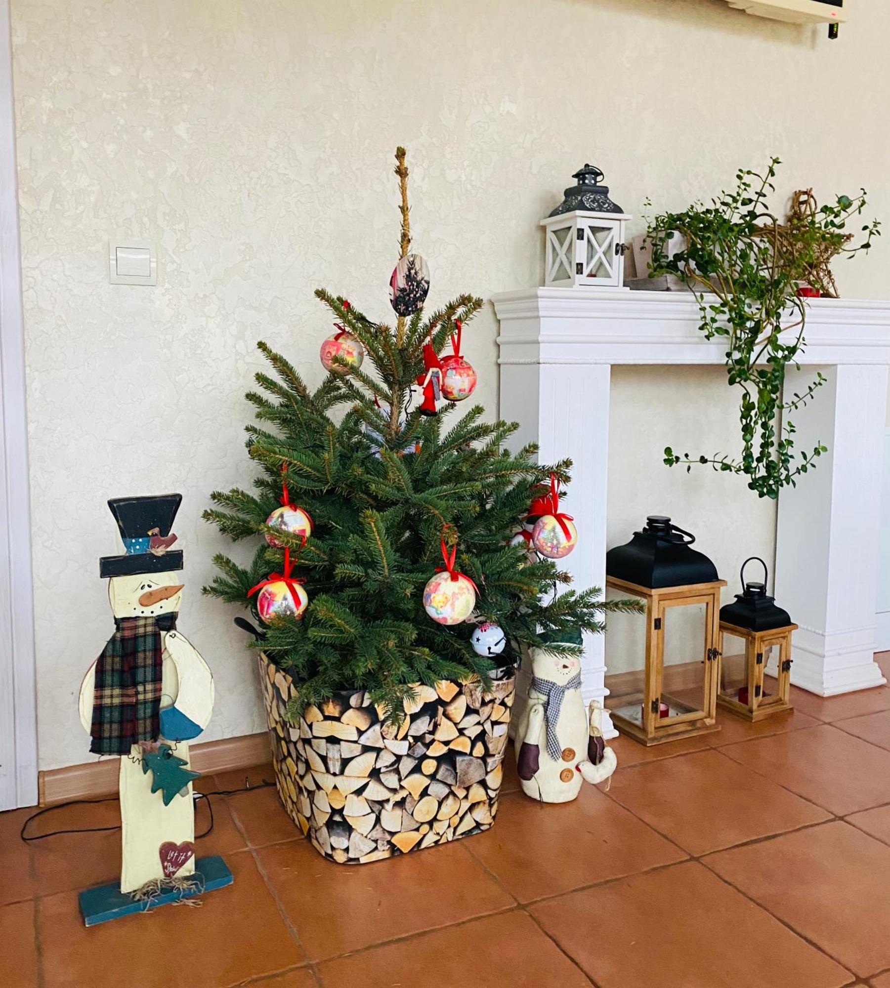 Holiday Home Usadba Novoselitsa Novoselitsa  ภายนอก รูปภาพ