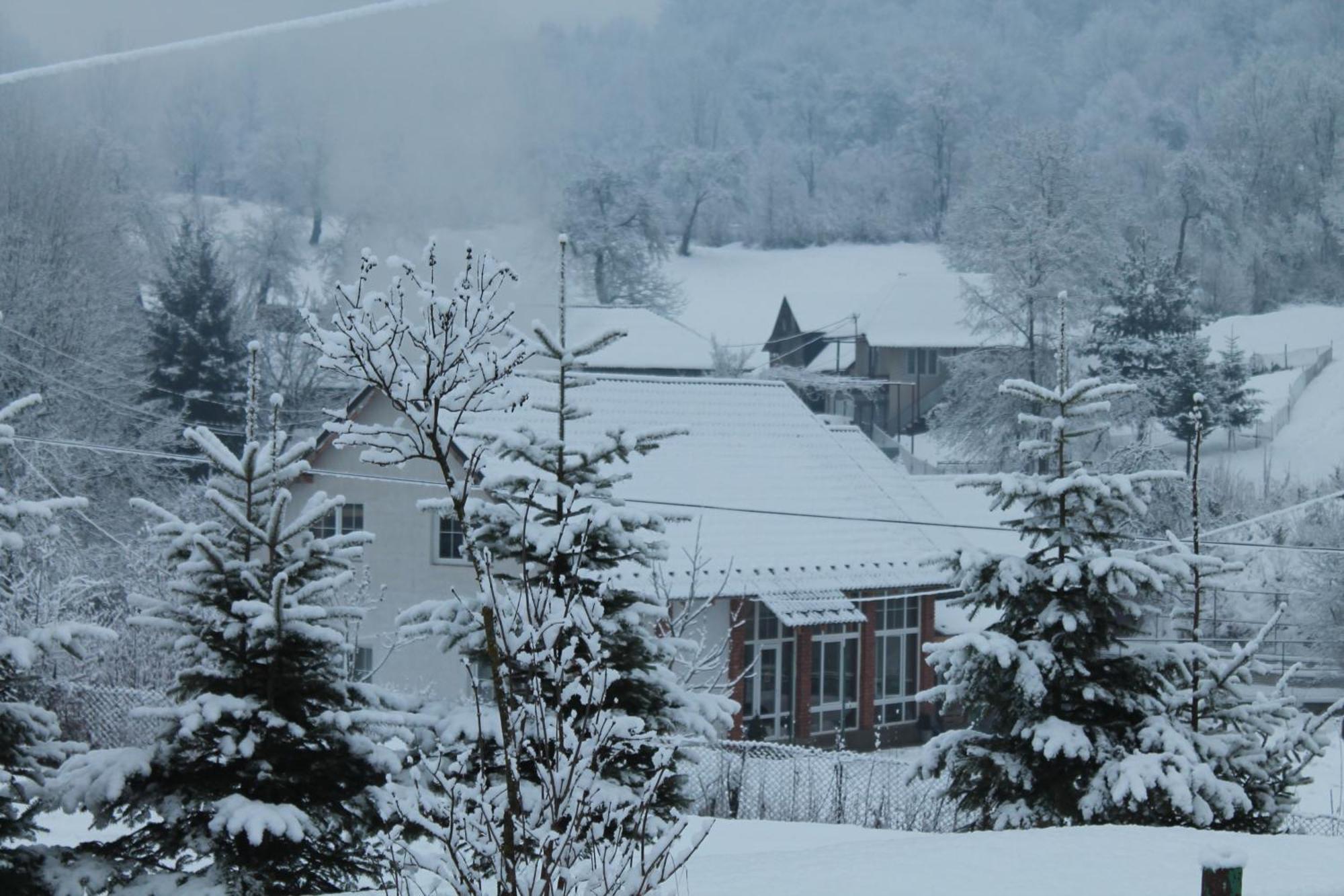 Holiday Home Usadba Novoselitsa Novoselitsa  ภายนอก รูปภาพ