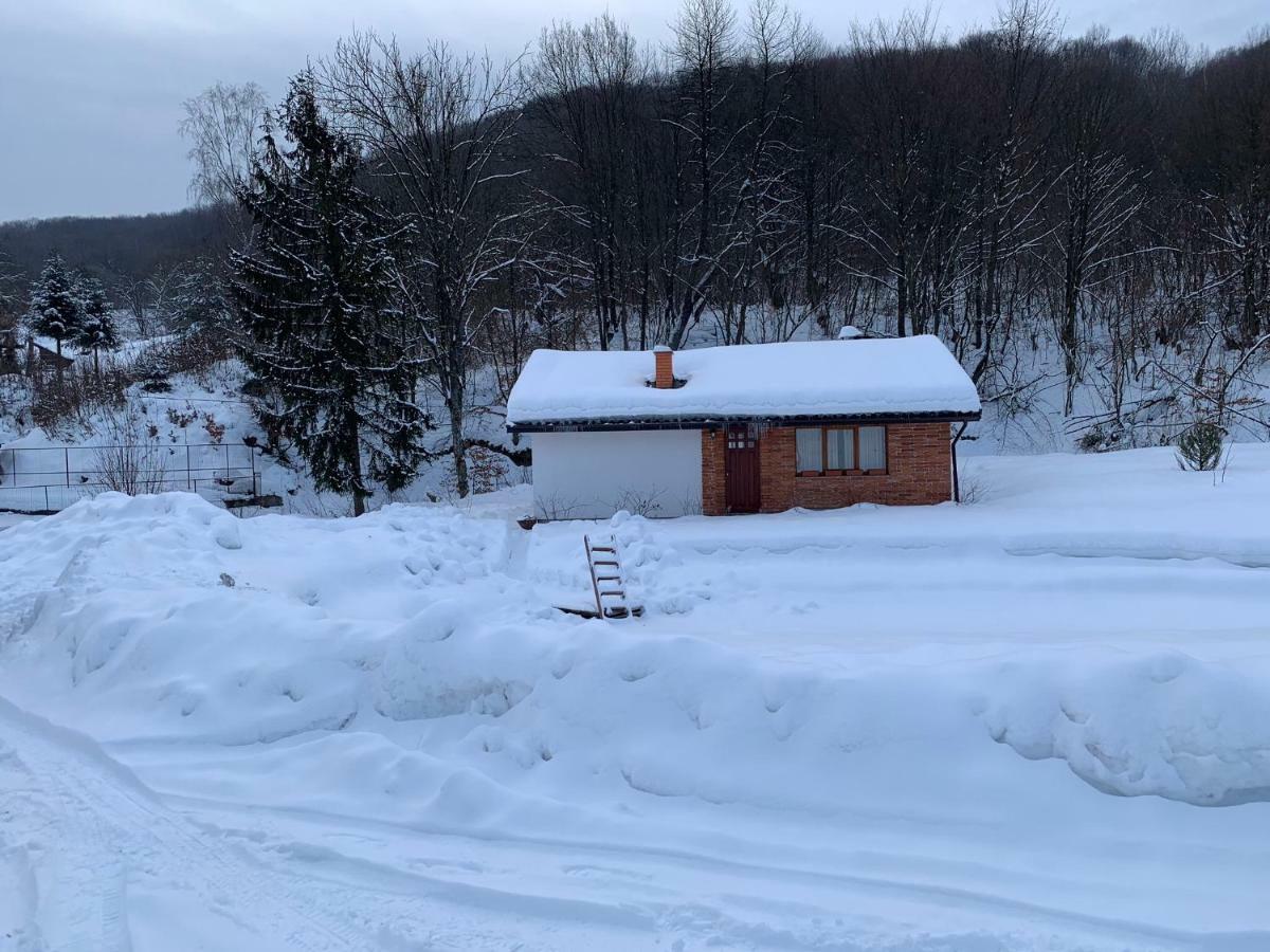 Holiday Home Usadba Novoselitsa Novoselitsa  ภายนอก รูปภาพ