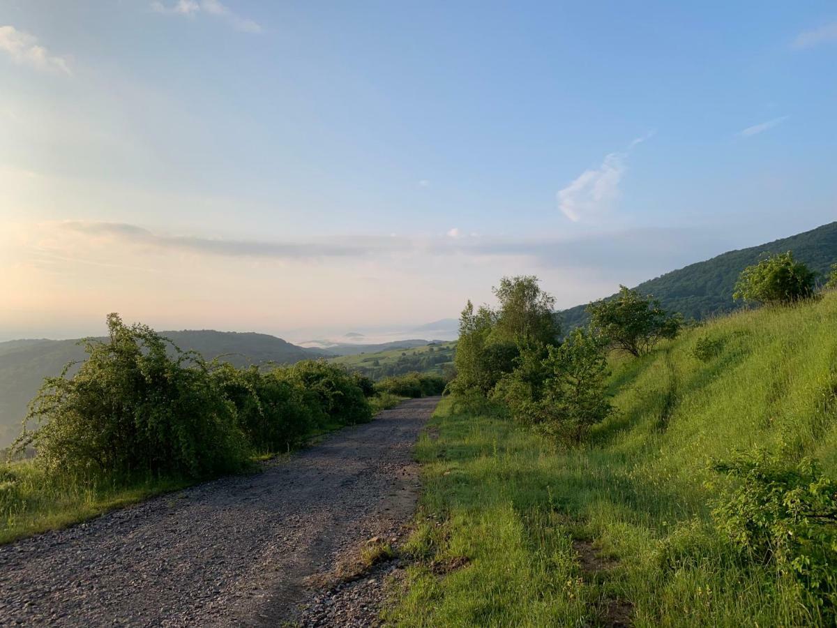 Holiday Home Usadba Novoselitsa Novoselitsa  ภายนอก รูปภาพ